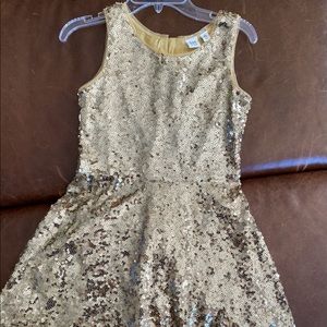 GAP Sequin Dress (Holiday)